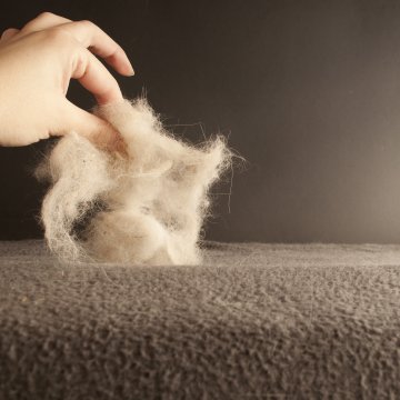 picking up pet hair of the floor robot vacuum cleaners